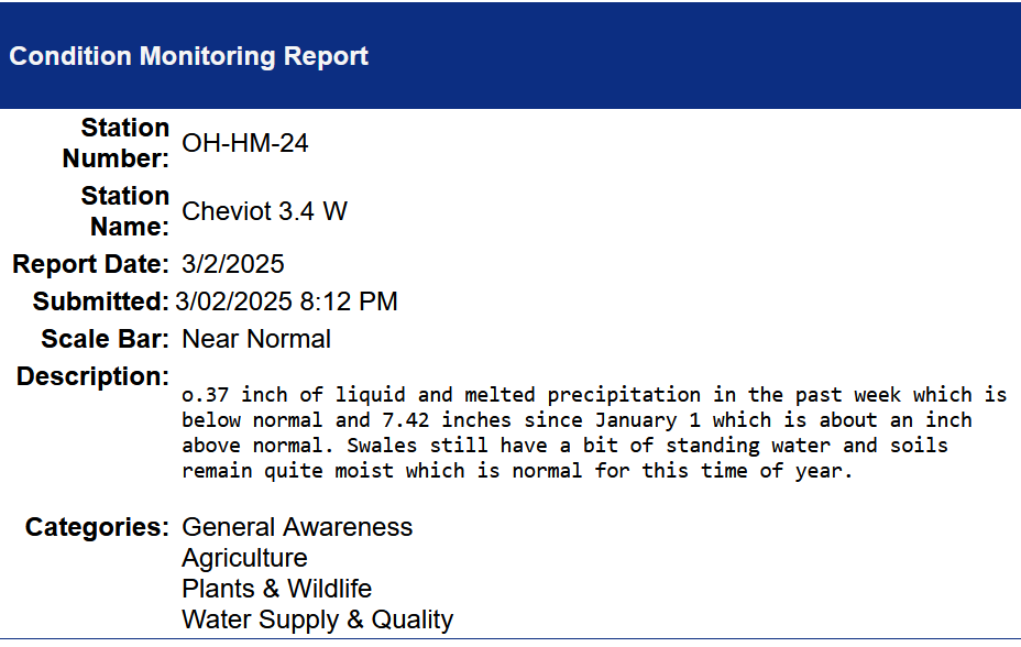 condition monitoring report march 2 2025